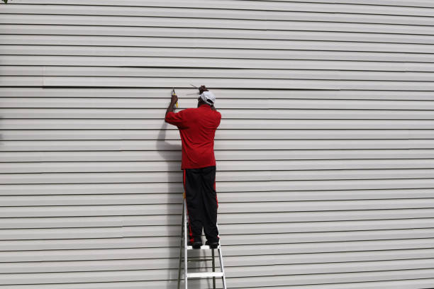Best Stone Veneer Siding  in San Tan Valley, AZ