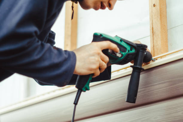 Best Fascia and Soffit Installation  in San Tan Valley, AZ